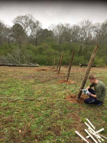 Setting posts and laying out the vineyard.